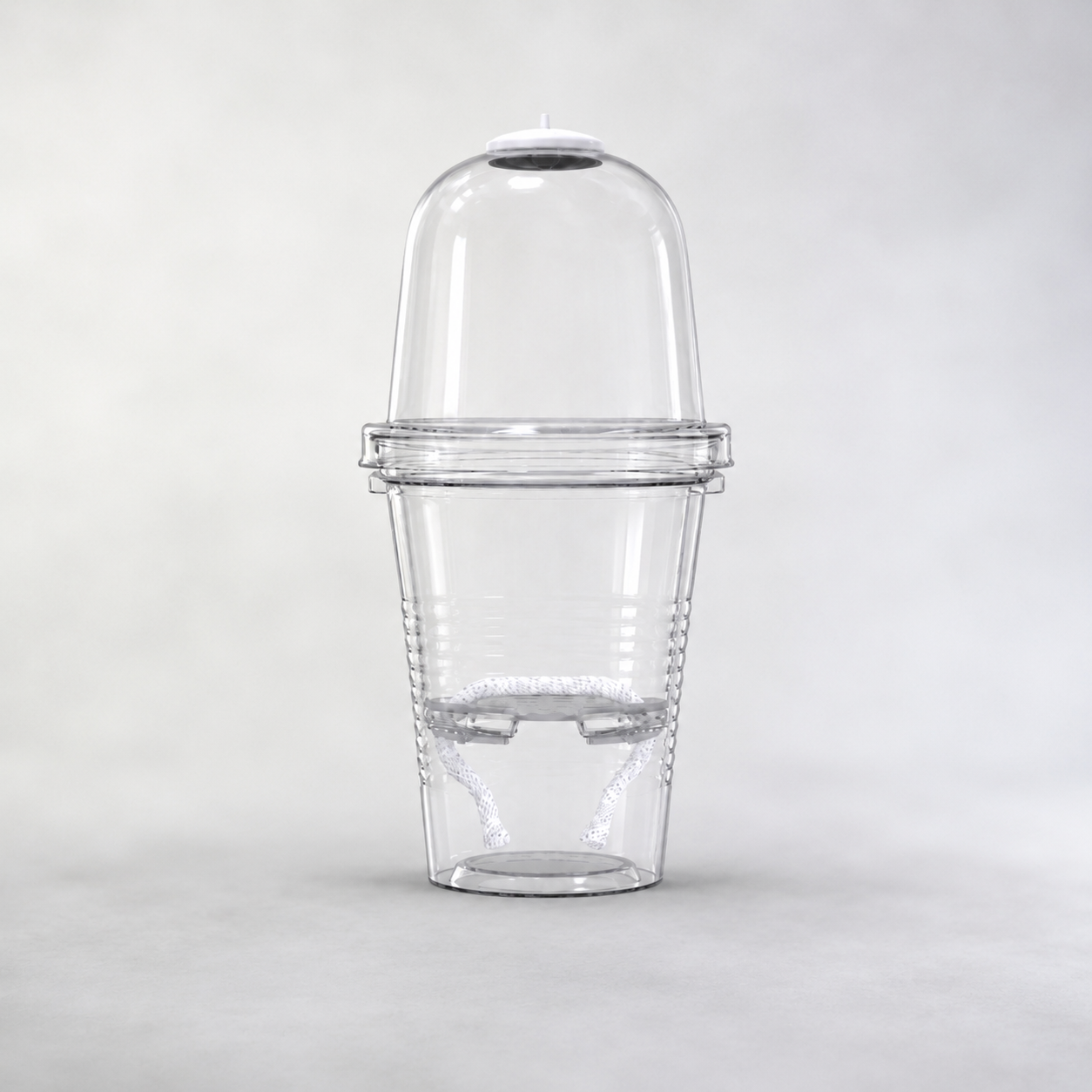 Propagation Cup for Corms, Seeds, TC or Cuttings